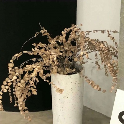 兽设山谷场景创作FurryQQ群